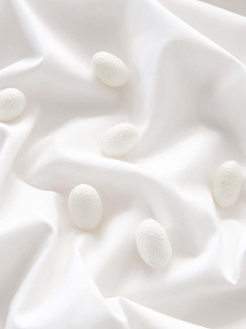 Deluxe 2 in 1 Cotton Covered Silk Comforter