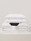 Deluxe 2-in-1 Silk Comforter And Pillow Set