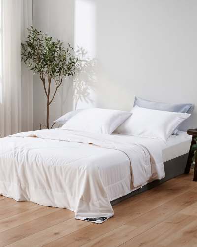 All Season Cotton Covered Silk Comforter