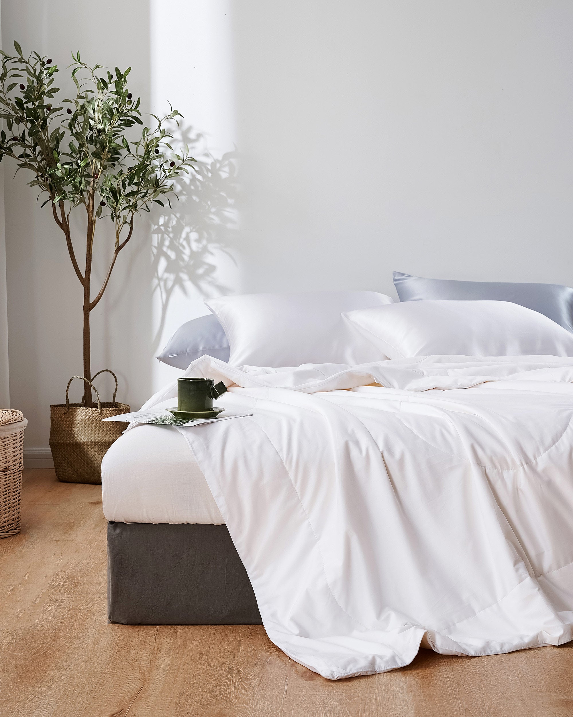 All Season Cotton Covered Silk Comforter