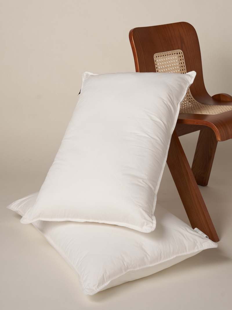 Deluxe 2-in-1 Silk Comforter And Pillow Set