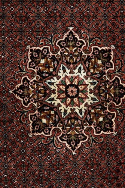 Bidjar 152x152cm