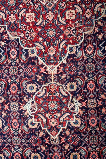 Sarouk 318x224cm