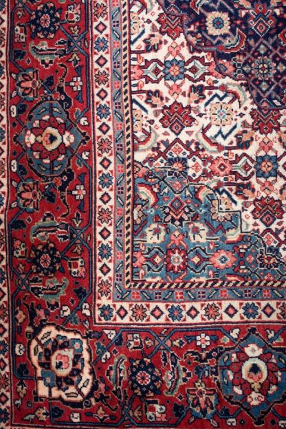 Sarouk 318x224cm