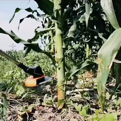 VIŠENAMJENSKA KOSILICA