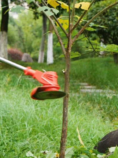 VIŠENAMJENSKA KOSILICA