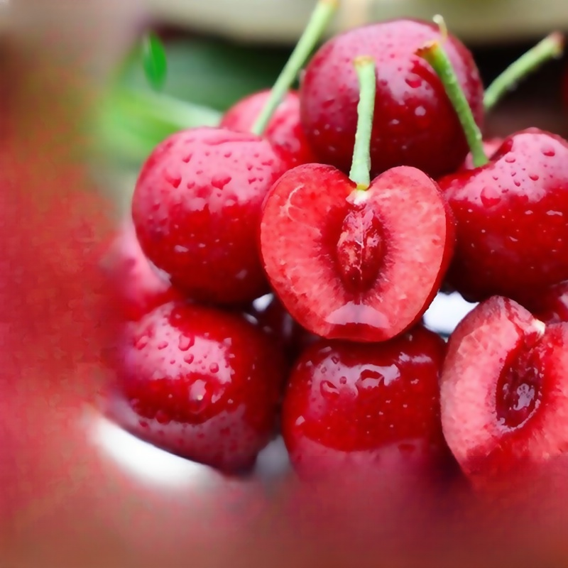 Cherry Tree Seedling [200KG Cherries in 30 Days]