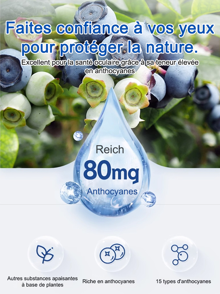 Graines de myrtilles faciles à cultiver et à haut rendement