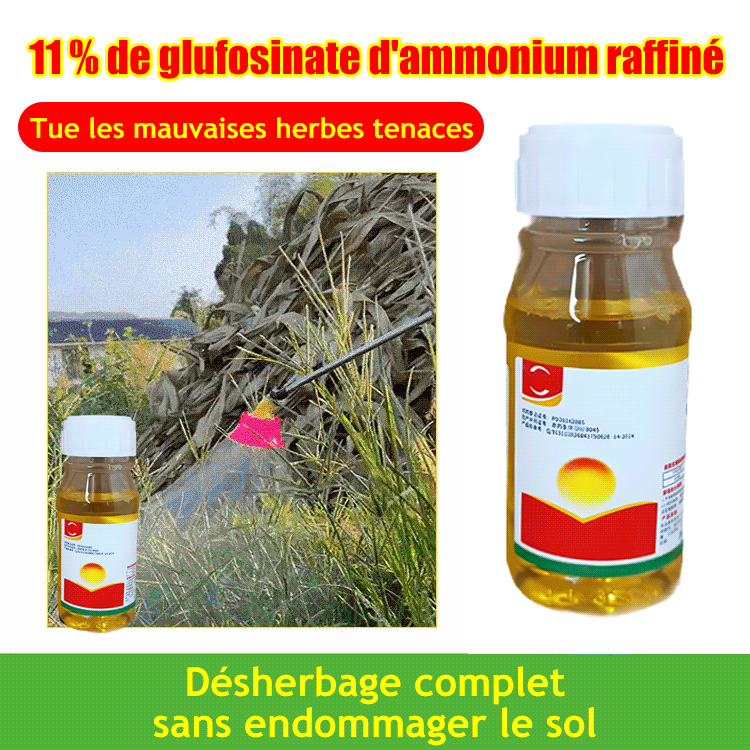 【Spécialiste des mauvaises herbes】Glufosinate-P-ammonium à haute concentration