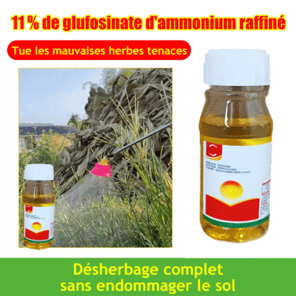 【Spécialiste des mauvaises herbes】Glufosinate-P-ammonium à haute concentration
