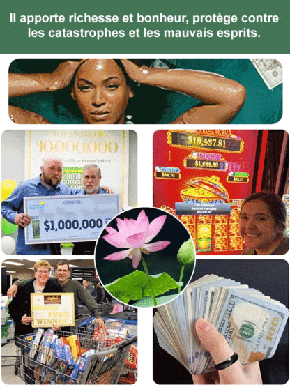 [Taux de germination très élevé] Lotus de la coupe de la chance