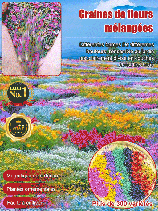 Quatre saisons en fleurs - Mélange de graines de fleurs