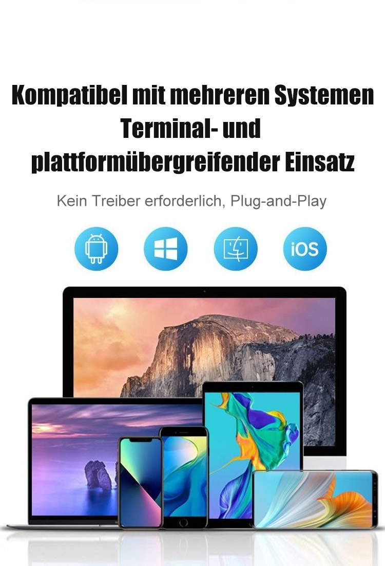 16 TB Tragbare SSD, Type-C, 950 MB/s, kompatibel mit allen Systemen