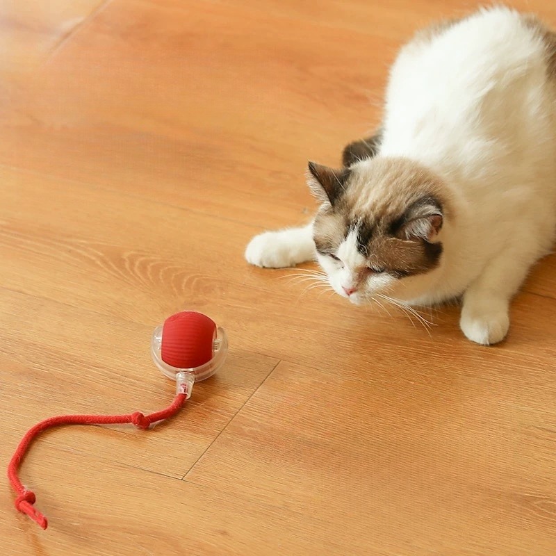 🌲2025 Hot Sale 49% Off🐱🐶2024 Automatic LED Interactive Pet Toys Ball