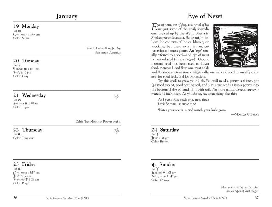 🔥Hot Sale 49%✨2026 Witches' Datebook