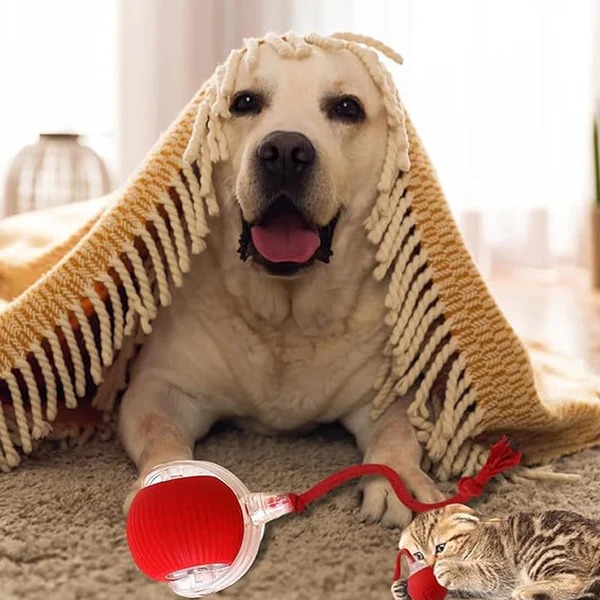 🌲2025 Hot Sale 49% Off🐱🐶2024 Automatic LED Interactive Pet Toys Ball