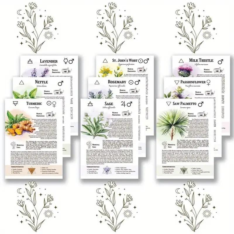 Witch's Herbal Notebook with Multiple Herbs Collection, Witchcraft Recipe Book, Plant Illustrations, Unique Gift for Witch Lovers