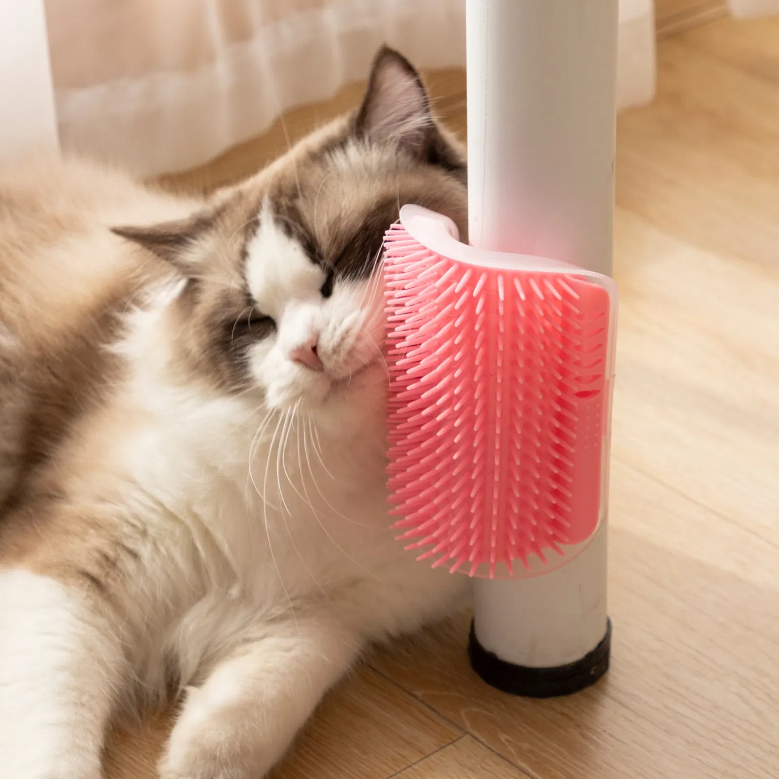 Last Day Clearance Sale 50% OFF❤Wall Corner Massage Brush for Cats🐈