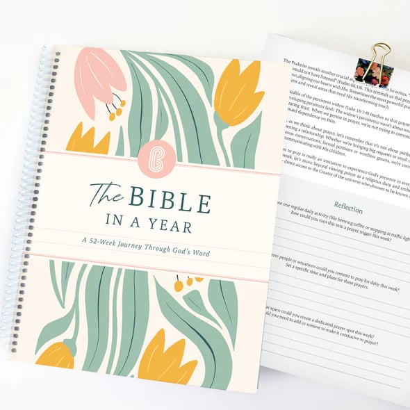 ✝The Study the Bible for 1 year 🎁52 Week Bible Journal