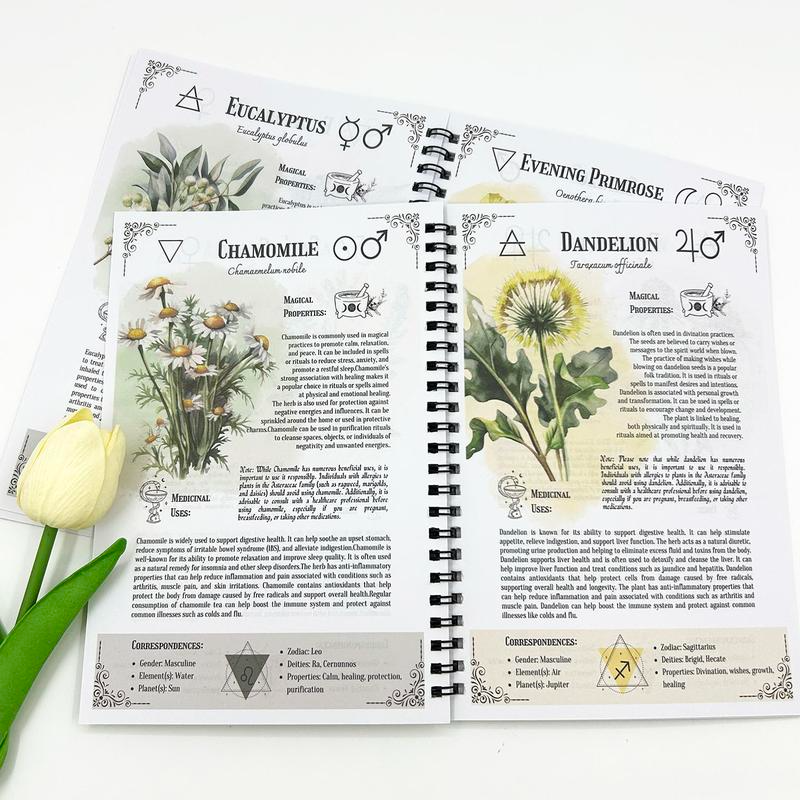 2025 Hot Sale 49 %OFF🔥Witch's Herbal Notebook with Multiple Herbs Collection