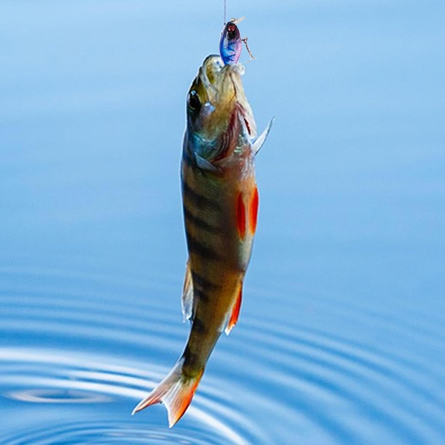 🎄Early Christmas Sale 49% OFF🔥24 Days Fishing Lure Advent Calendar 2025