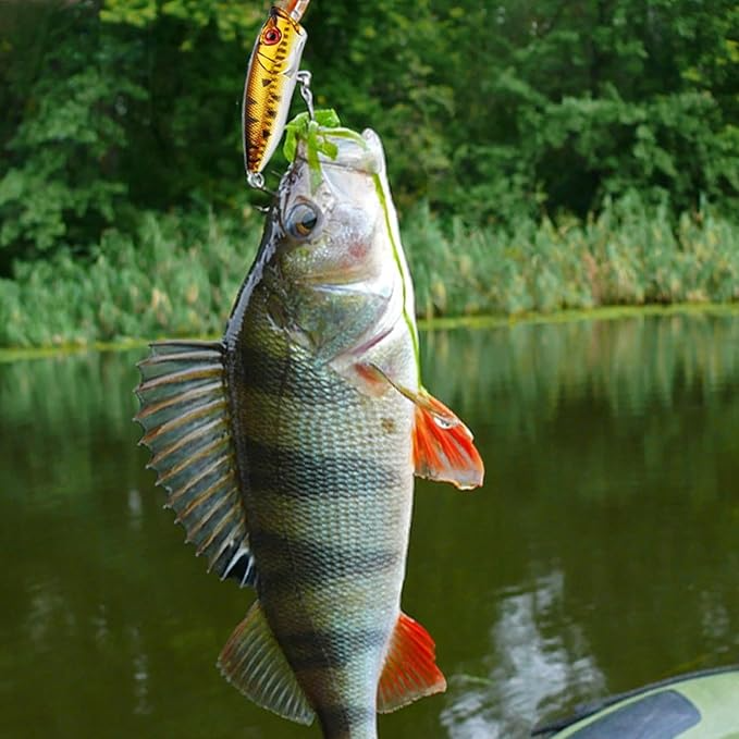 🎄Early Christmas Sale 49% OFF🔥24 Days Fishing Lure Advent Calendar 2025