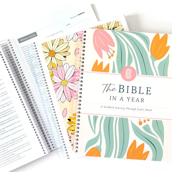 ✝The Study the Bible for 1 year 🎁52 Week Bible Journal