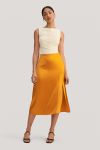 #color_Amber Yellow