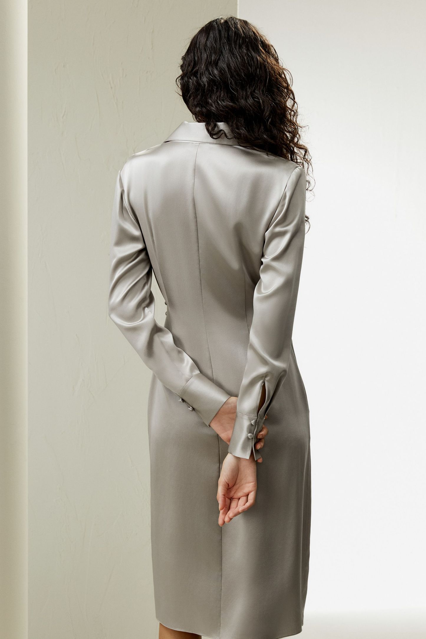 #color_Silvergray