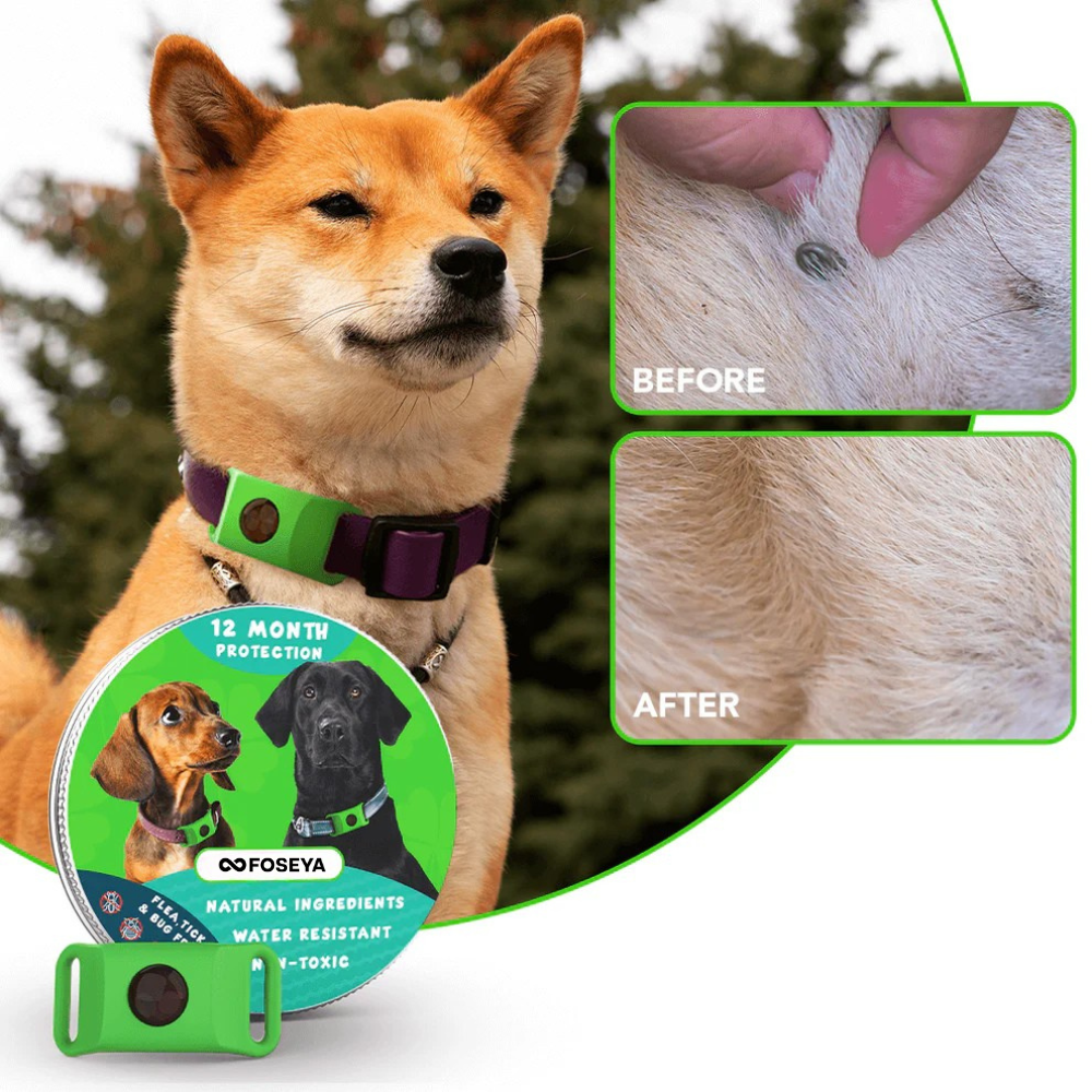 Foseya™ 12 Months Flea and Tick Free