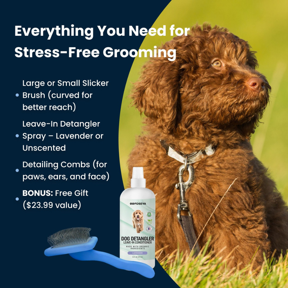 Bundle & Save: Limited-Time Offer