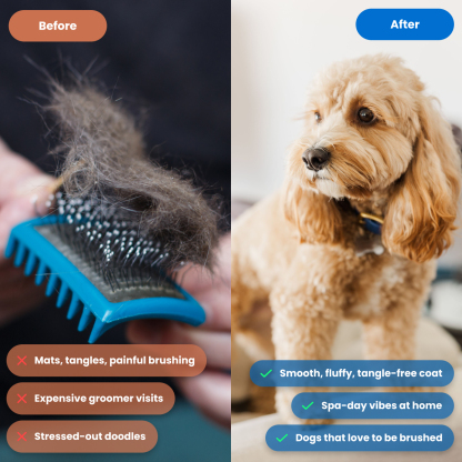 Bundle & Save: Limited-Time Offer