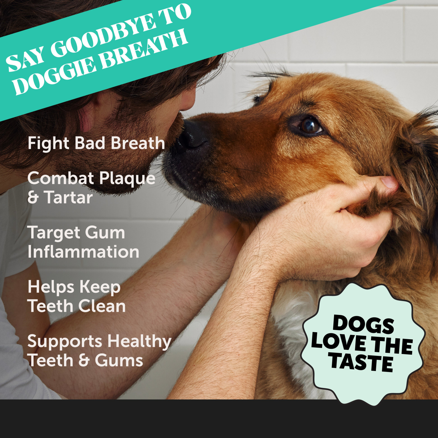 Fresh Breath Dental Powder for Dogs (30 servings)