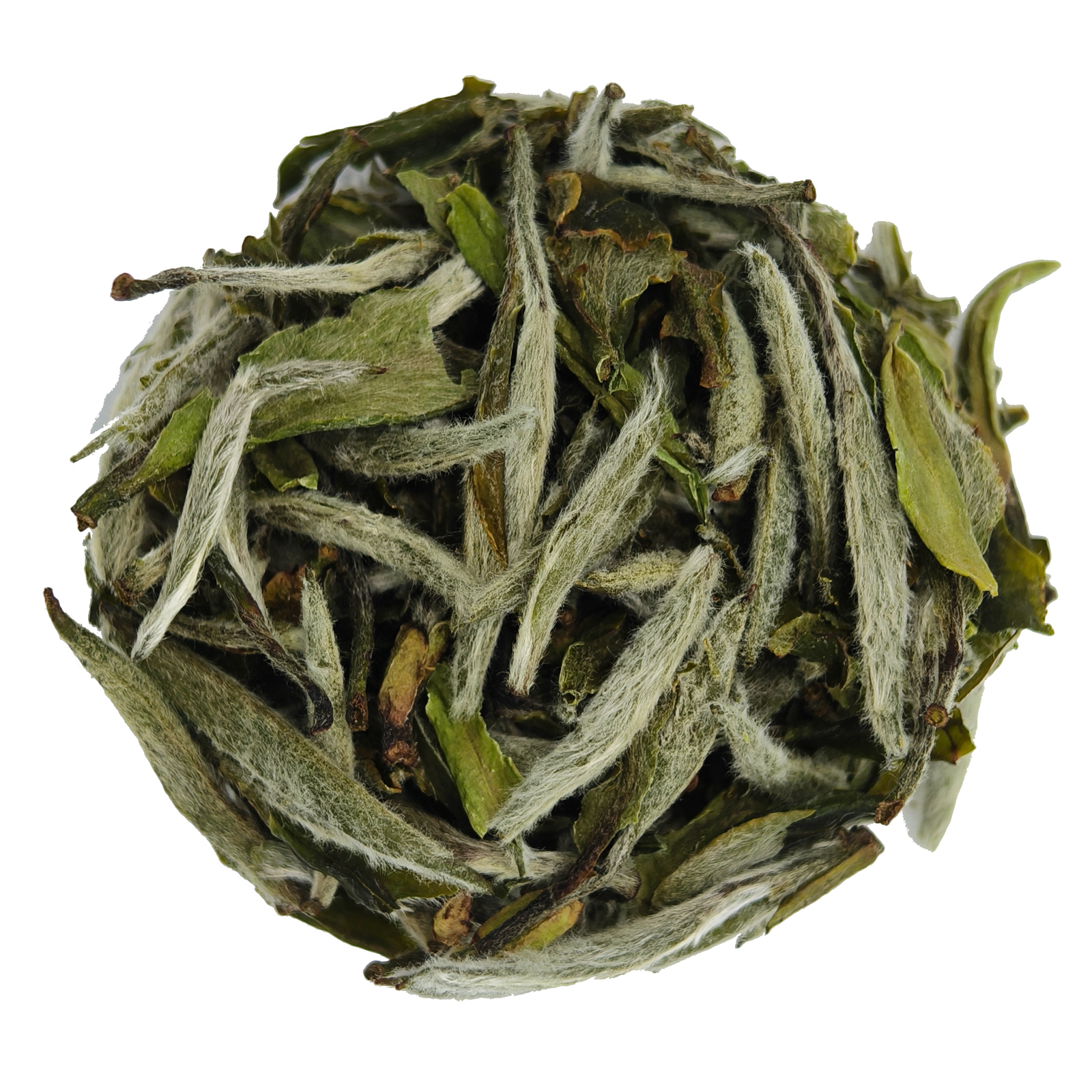 White Peony Tea - floral flavor & delicate character