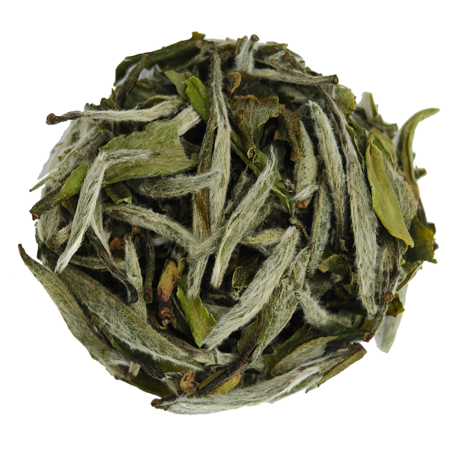 White Peony Tea - floral flavor & delicate character