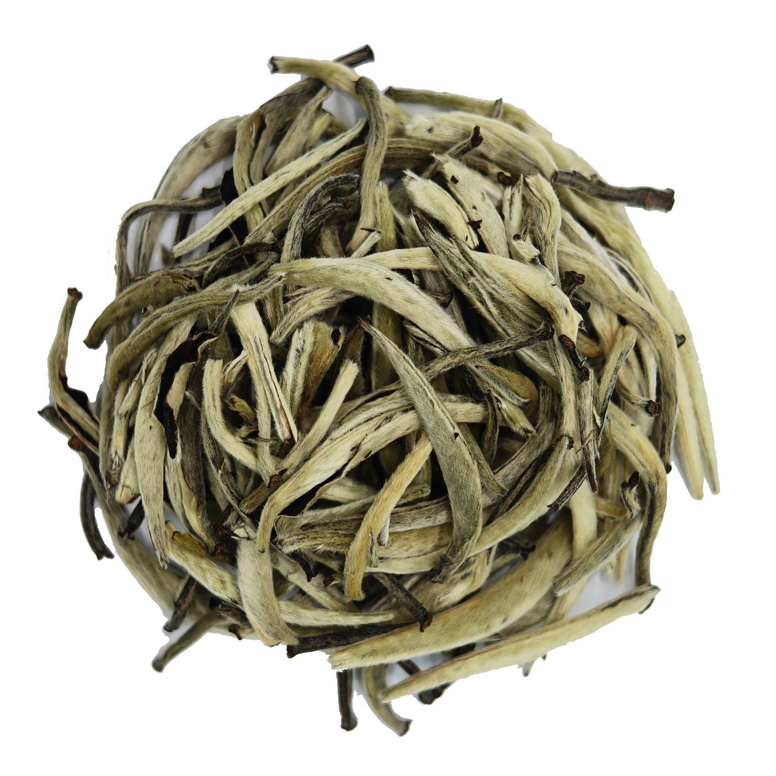 White Tip Silver Needle - Silvery White Hair，Delicate & Sweet