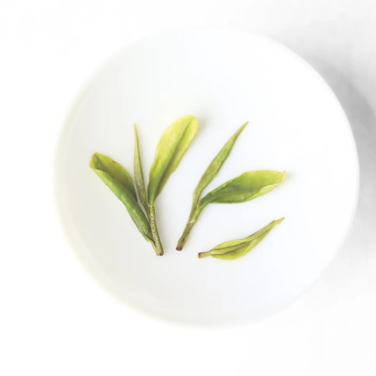 Anji Bai Cha - Delicate Fragrance, No Bitterness，