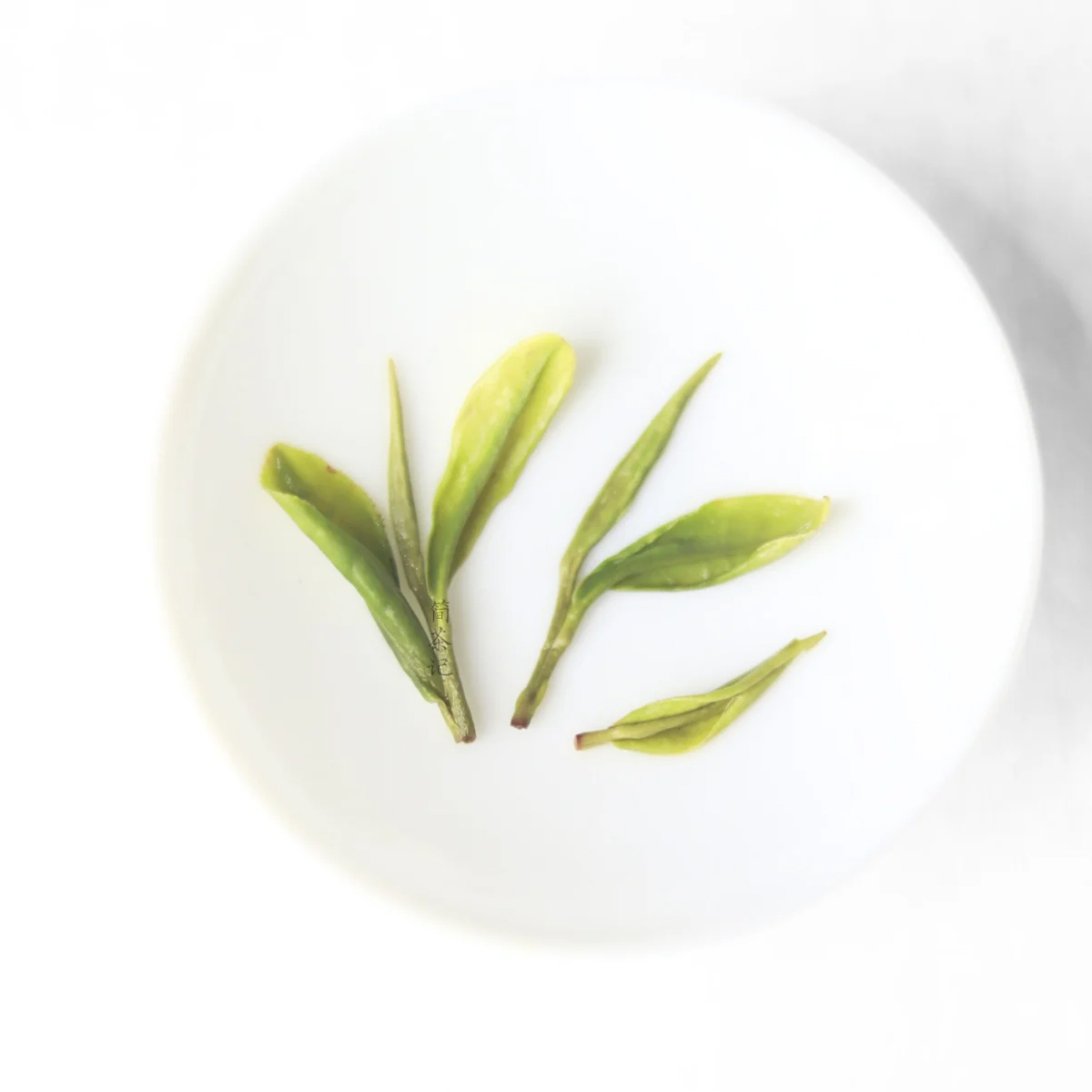 Anji Bai Cha - Delicate Fragrance, No Bitterness，