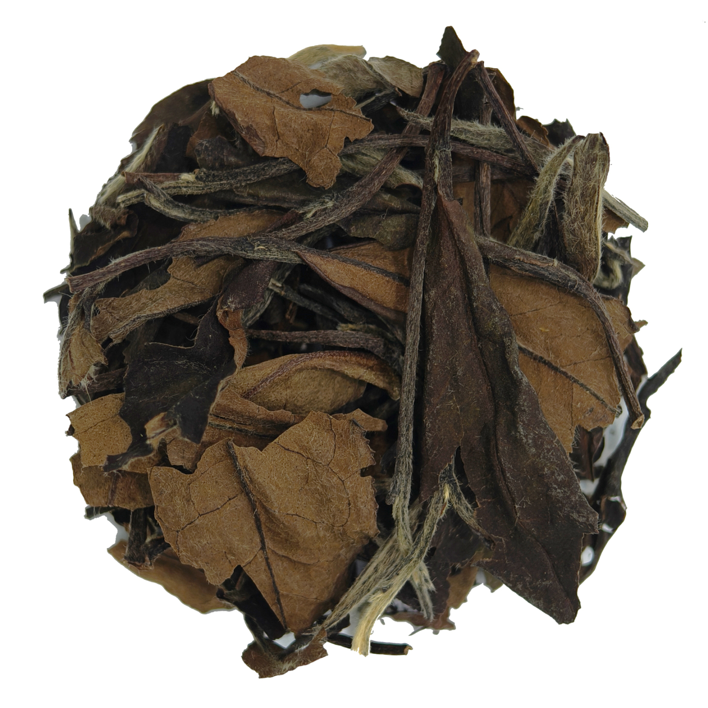 Gong Mei Tea - Long, Curved Leaves, Honey Notes