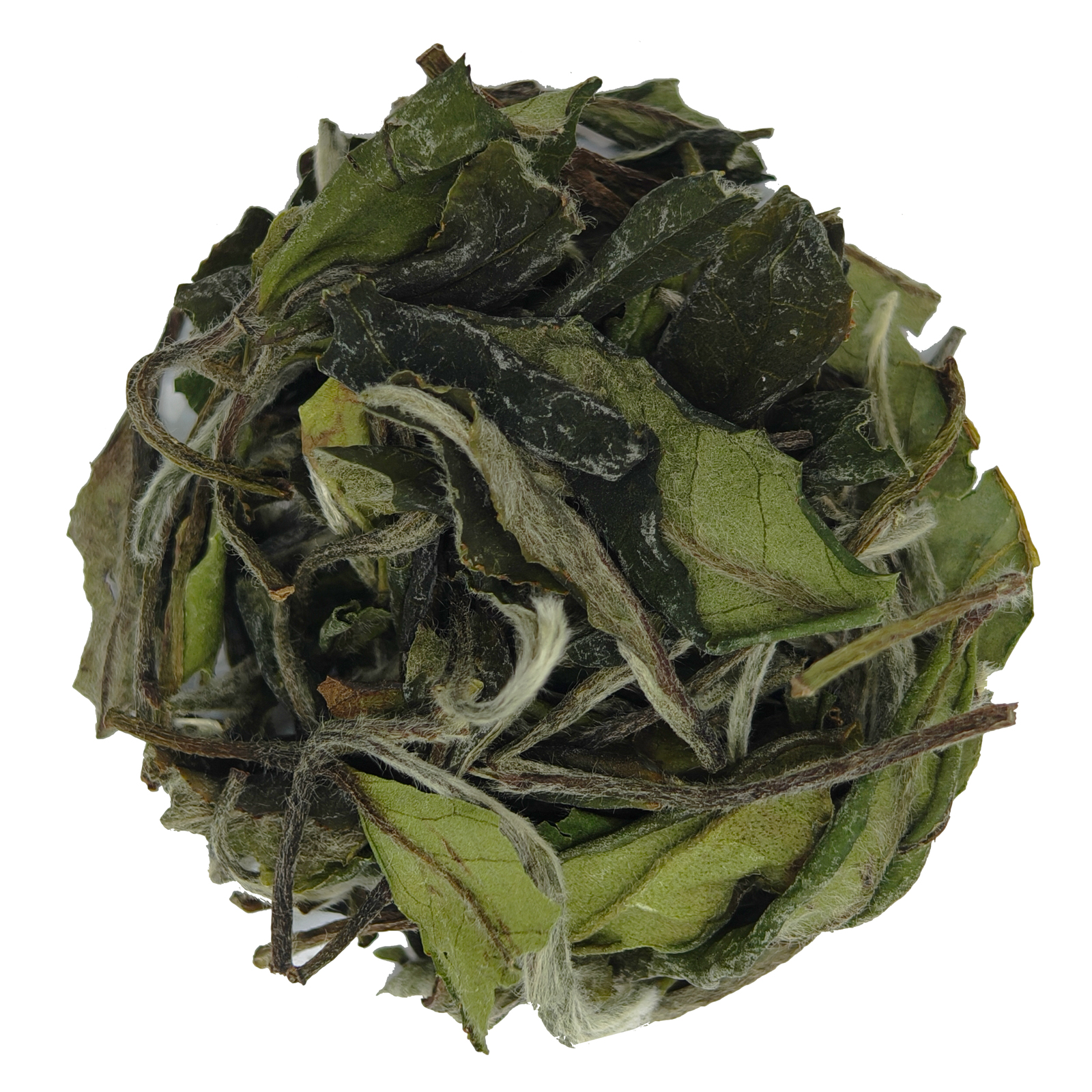 Shou Mei white tea - Sweet & Mellow，Variegated Leaves