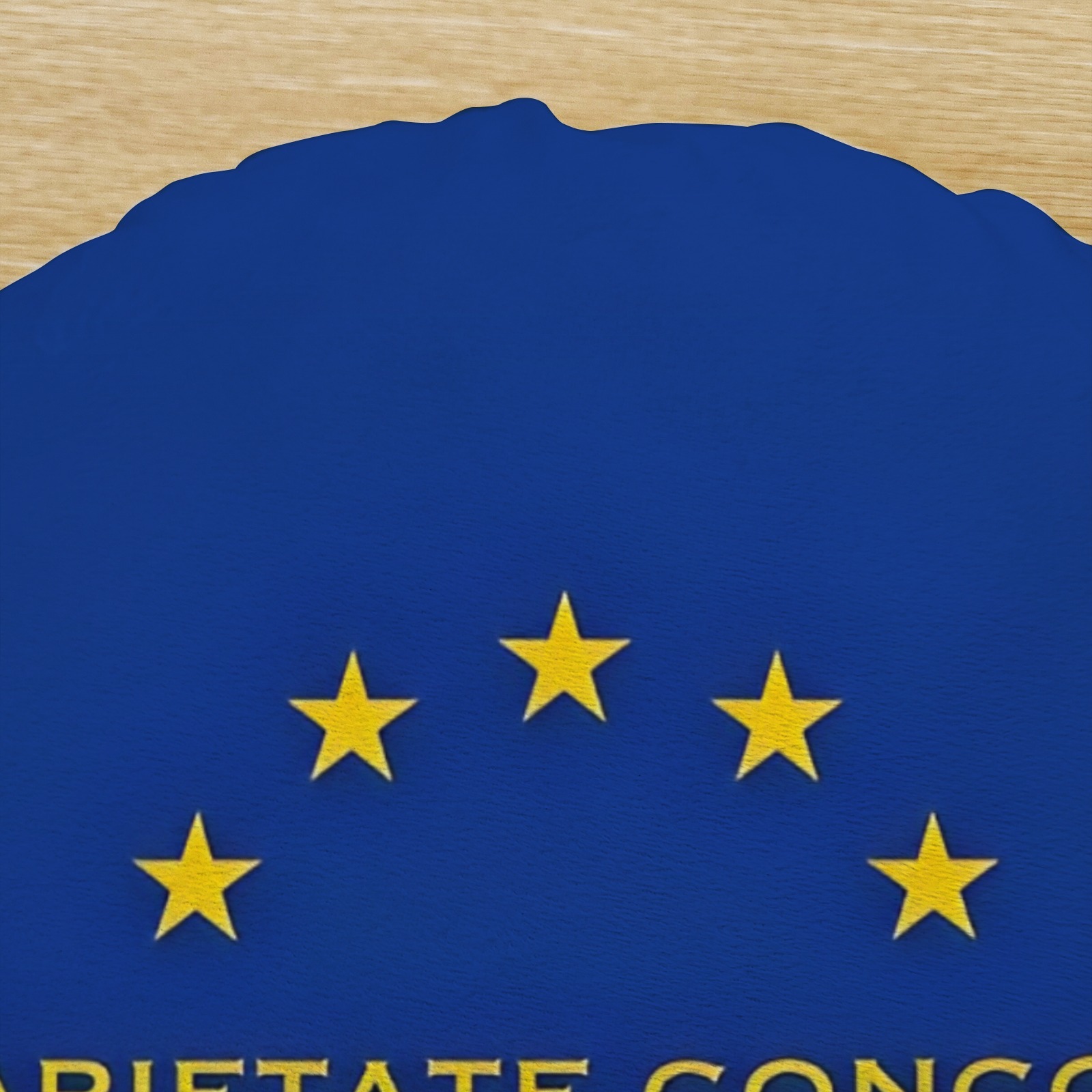 European - Inspired Round Throw Pillow with "In Varietate Concordia" Motif