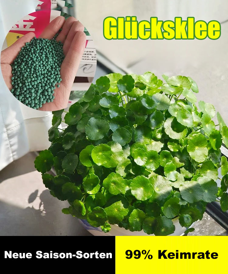 Glück bringende Pfennigkrautsamen