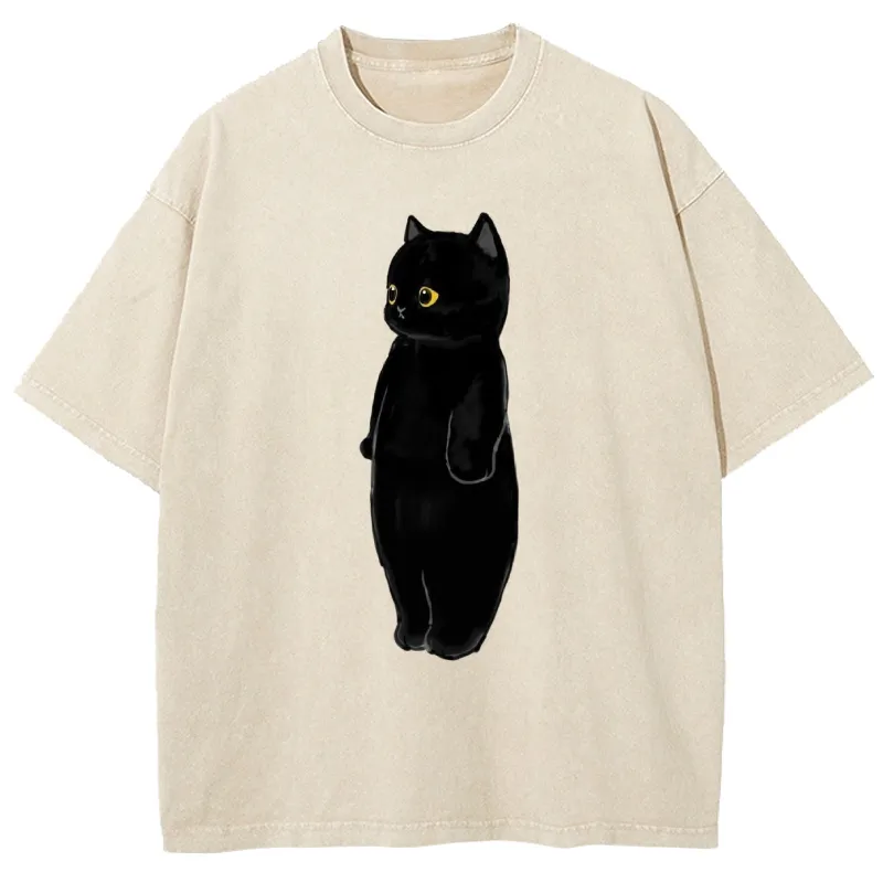 Chillteelab™ | A Little Black Cat Washed T-Shirt