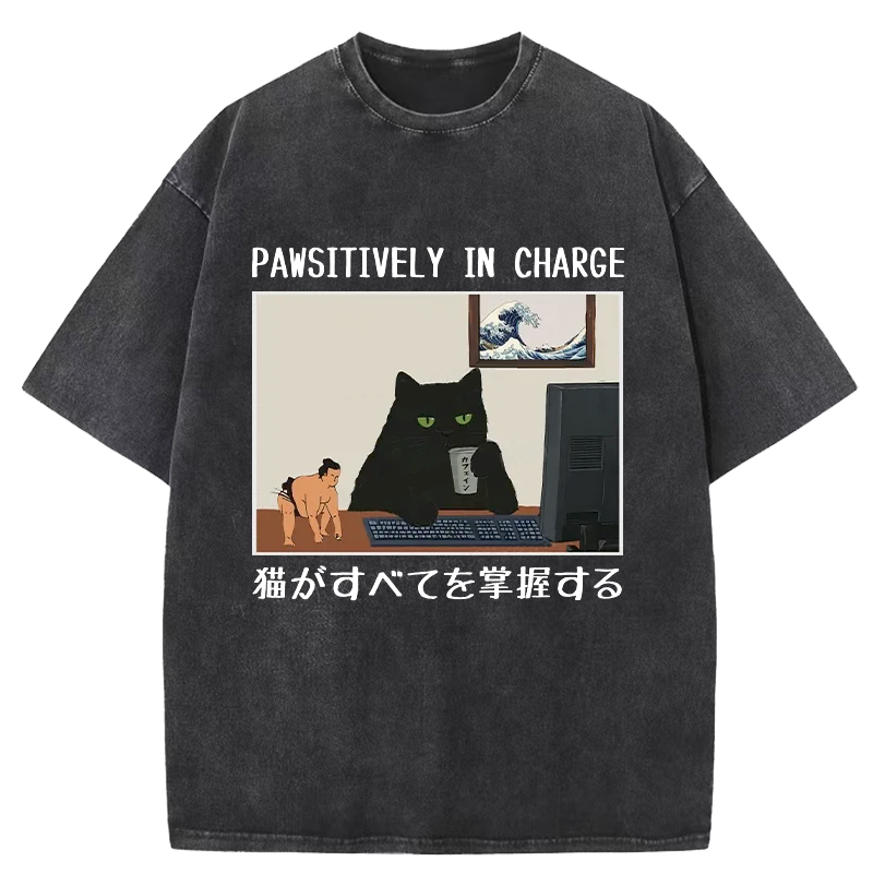 Cuddlefurry™ | Pawsitively In Charge Washed T-Shirt