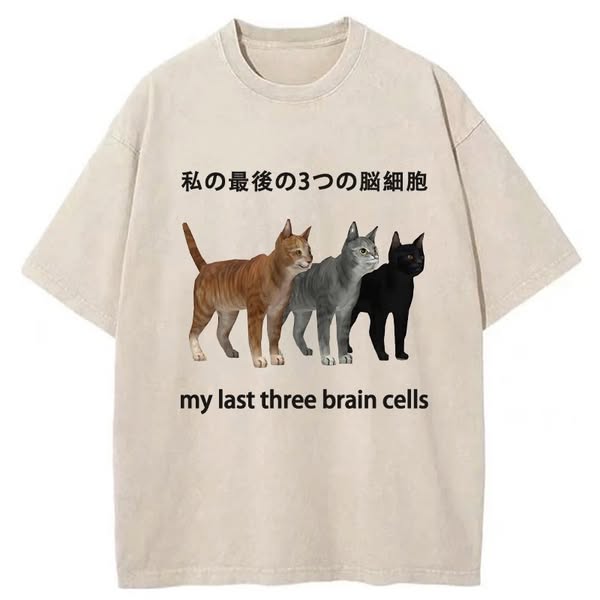 Chillteelab™ | My Last Three Brain Cells Washed T-Shirt