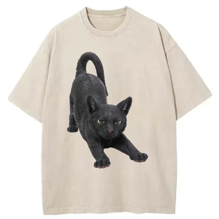 Chillteelab™ | Funny Cat Washed T-Shirt