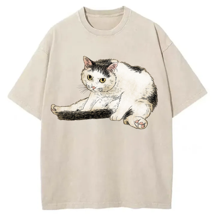 Chillteelab™ | Funny Cat Washed T-Shirt