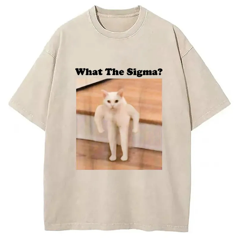 Chillteelab™ | What Sigma Cat Meme Washed T-Shirt