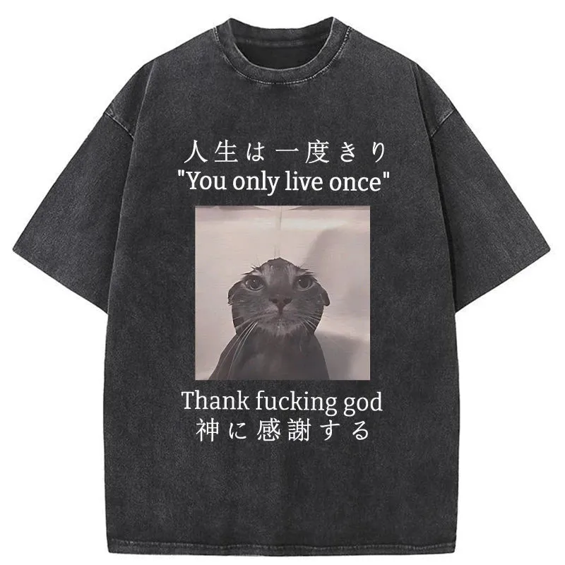 Chillteelab™ | Funny Melancholy Cat Washed T-Shirt