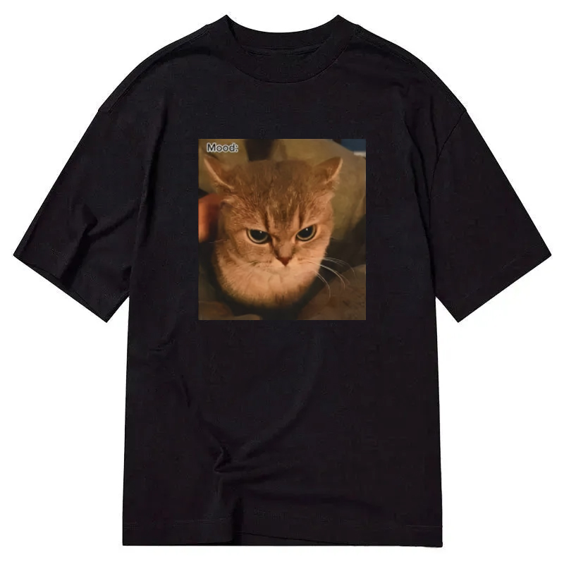 Chillteelab™ | Funny Irritable Cat Meme Classic Shirt